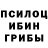 Галлюциногенные грибы прущие грибы Dhdhus Dudur