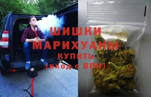 PSILOCYBIN Киренск